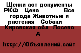 Щенки аст документы РКФ › Цена ­ 15 000 - Все города Животные и растения » Собаки   . Кировская обл.,Лосево д.